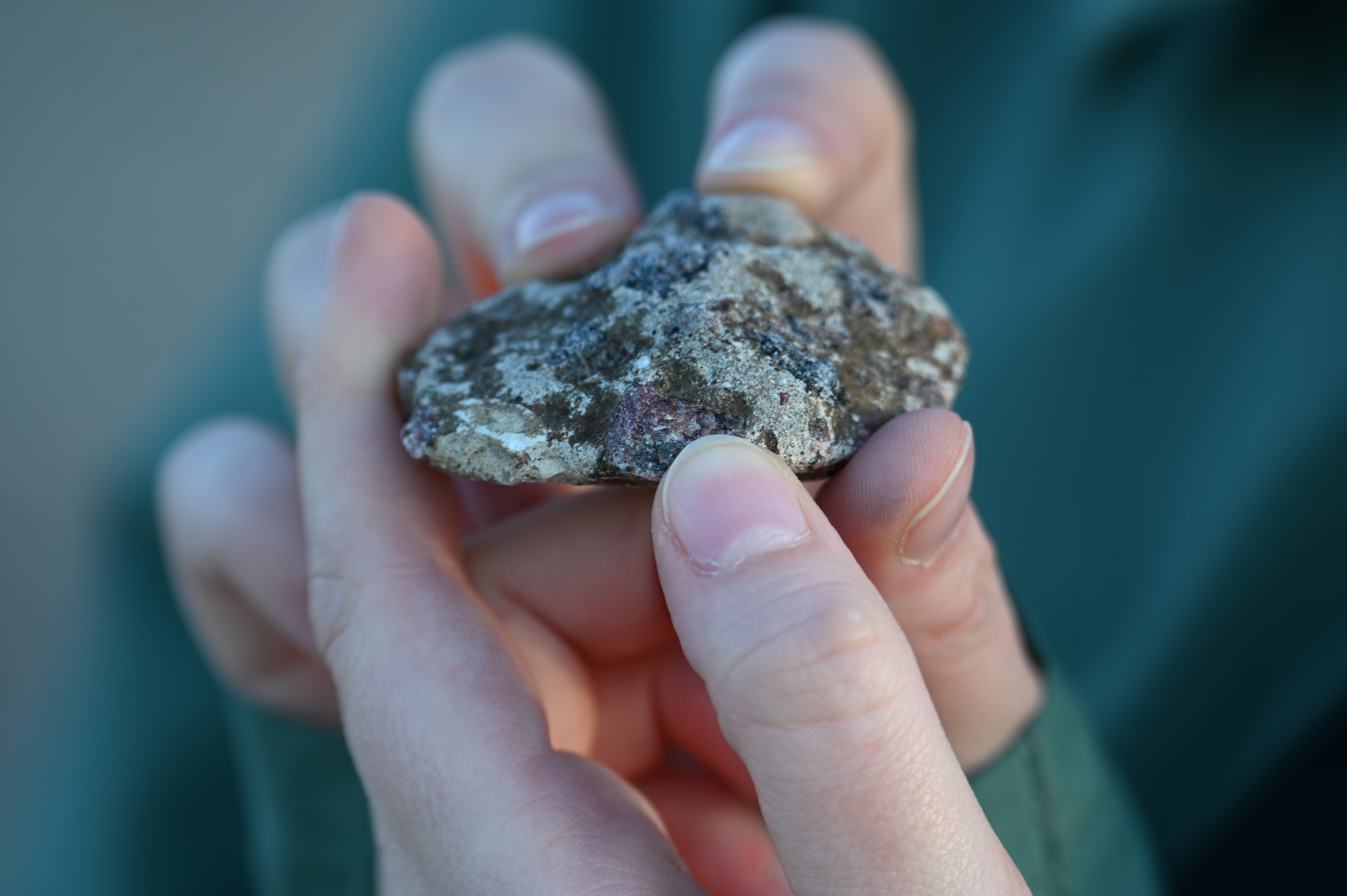 2025/10/18 - walk/DSC_0252.JPG